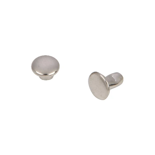 RIVET